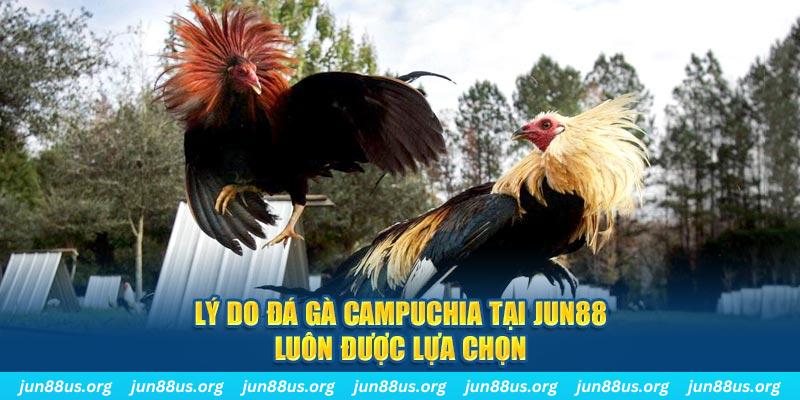 123dzo vip tài xỉu nổ hũ là gì