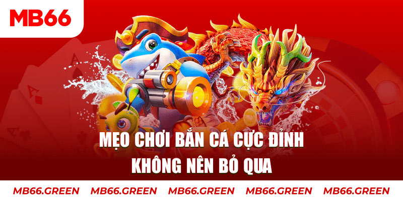 123dzo vip casino ở đâu