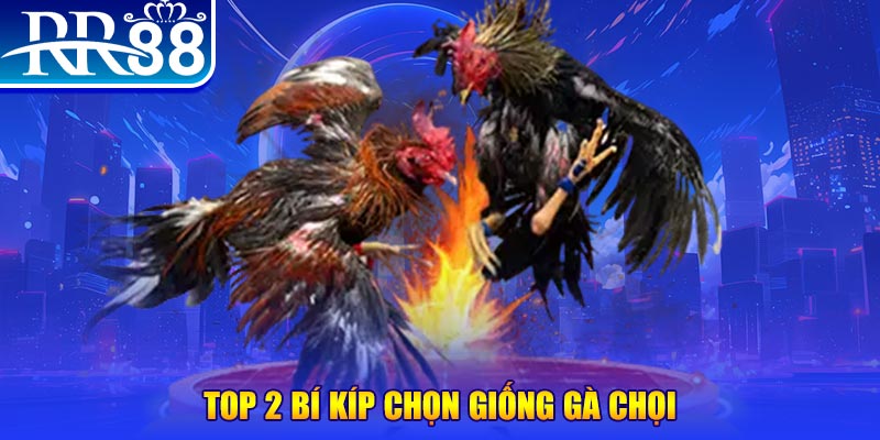 123dzo vip đăng nhập poker số 1