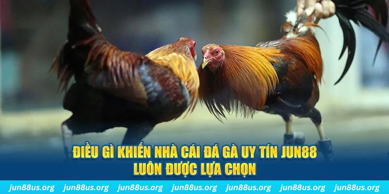 123dzo vip qq88 nổ hũ bắn cá
