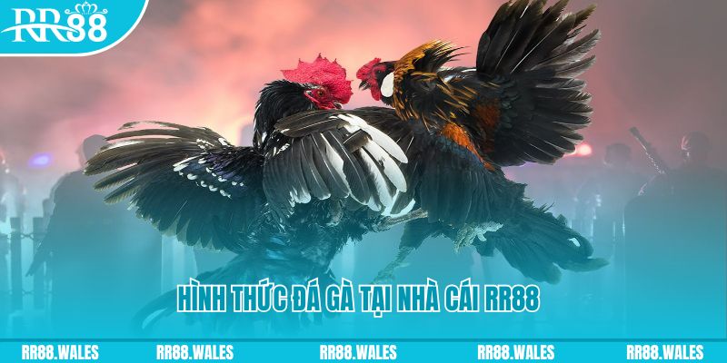 123dzo vip xin 1 slot là gì