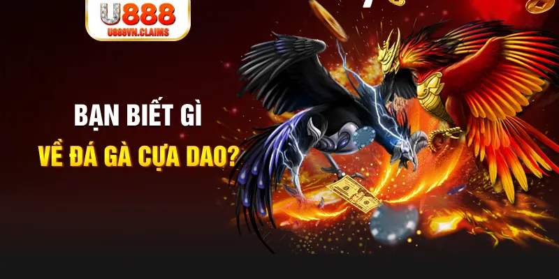 123dzo vip xổ số kiến thiết