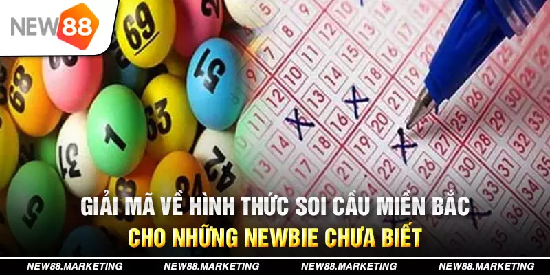 123dzo vip đăng nhập mậu binh live