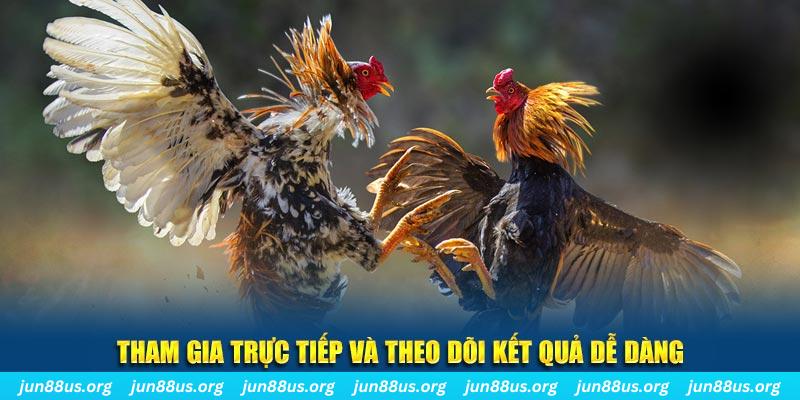123dzo vip đá gà trực tiếp bình luận viên