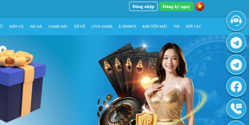 123dzo vip slot là gì dịch