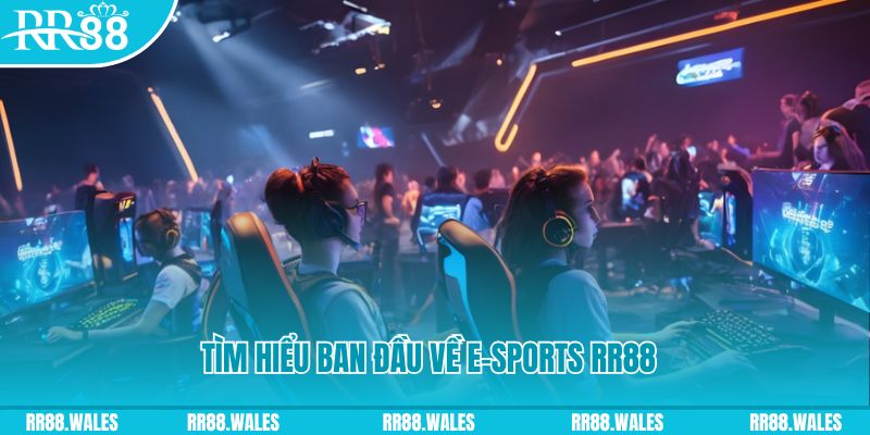123dzo vip Đĩa màu ace