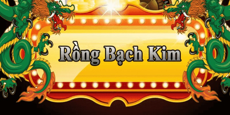 123dzo vip đăng nhập roulette 2025