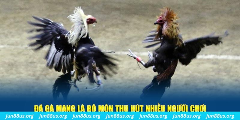 123dzo vip xổ số cà mau