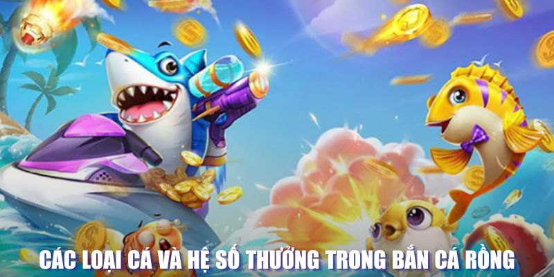 123dzo vip loi game dot kich ket noi may chu that bai