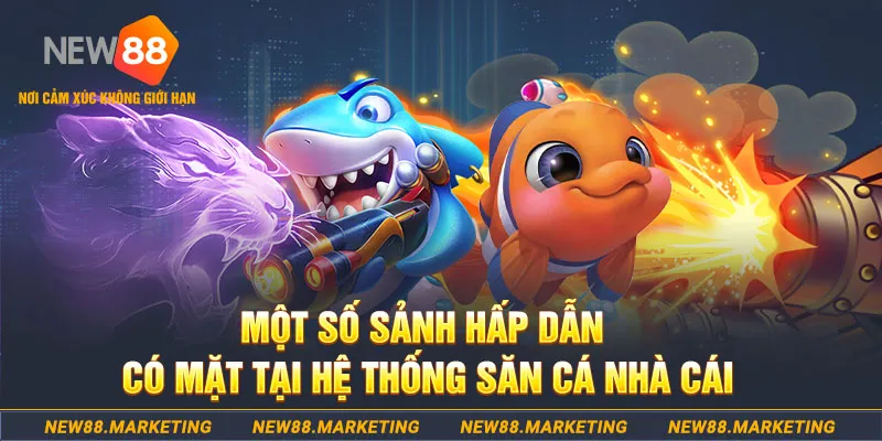 123dzo vip đăng nhập sòng bạc 2025