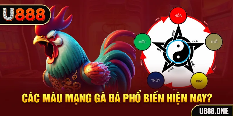 123dzo vip đăng nhập mậu binh