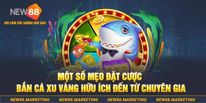 123dzo vip Tài Xỉu