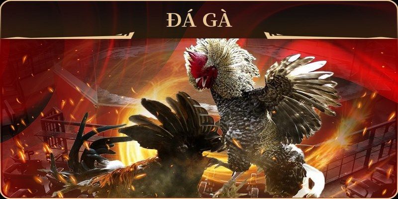 123dzo vip no hu doi thuong ai