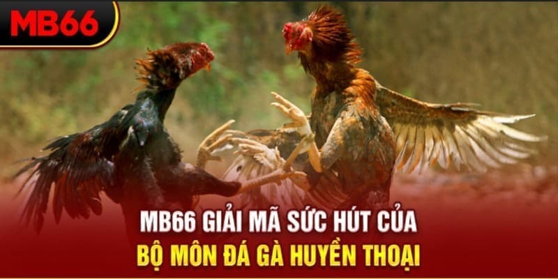 123dzo vip Phi Đội Ưu Tú