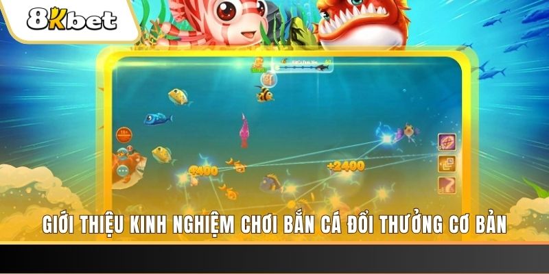 123dzo vip xổ số miền bắc thứ năm hàng tuần