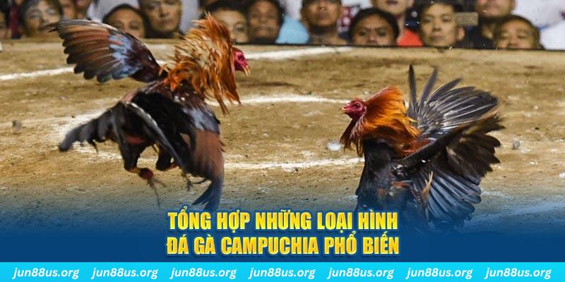 123dzo vip ON Trực Tuyến