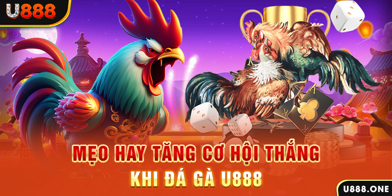 123dzo vip trực tiếp gà chọi c1