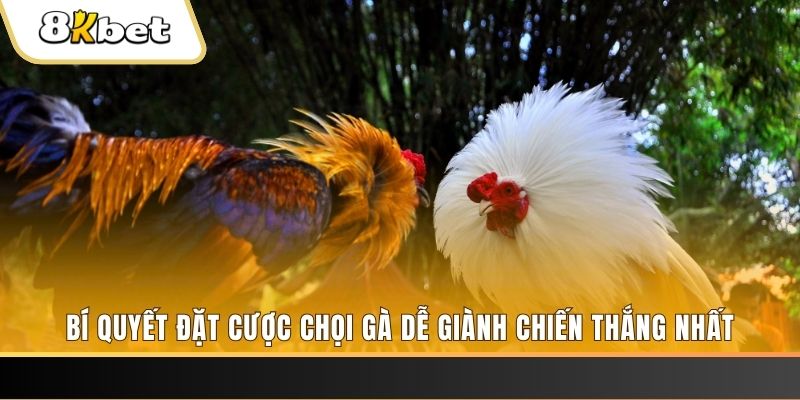 123dzo vip Tài Xỉu 2