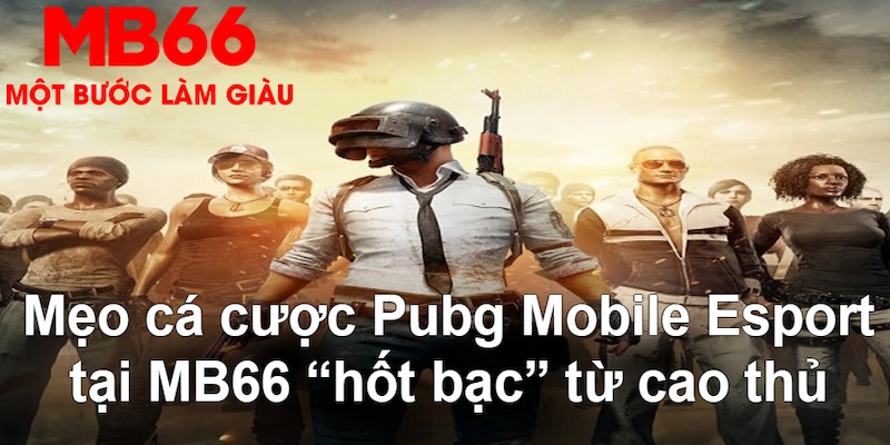 123dzo vip gà chọi mộc hóa