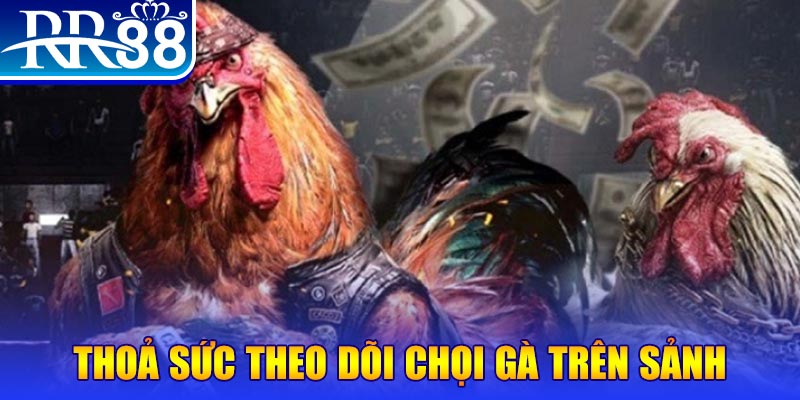 123dzo vip đá gà 88.com
