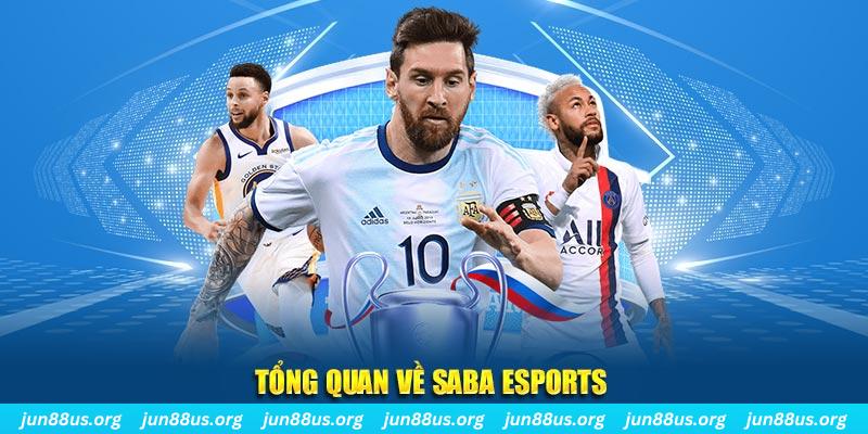 123dzo vip gà chọi c1 tv trực tiếp hôm nay